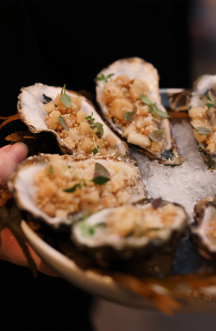 Invasive Østers LOCA