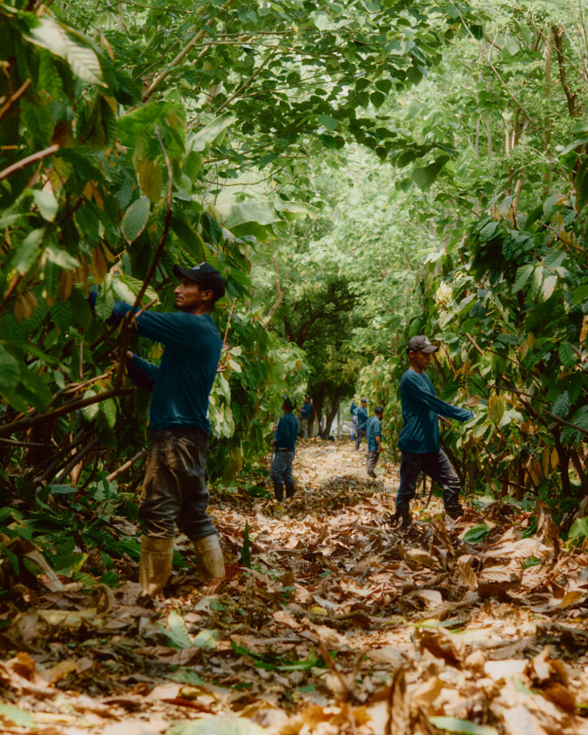 XOCO-Gourmet-at-Restaurant-Paula