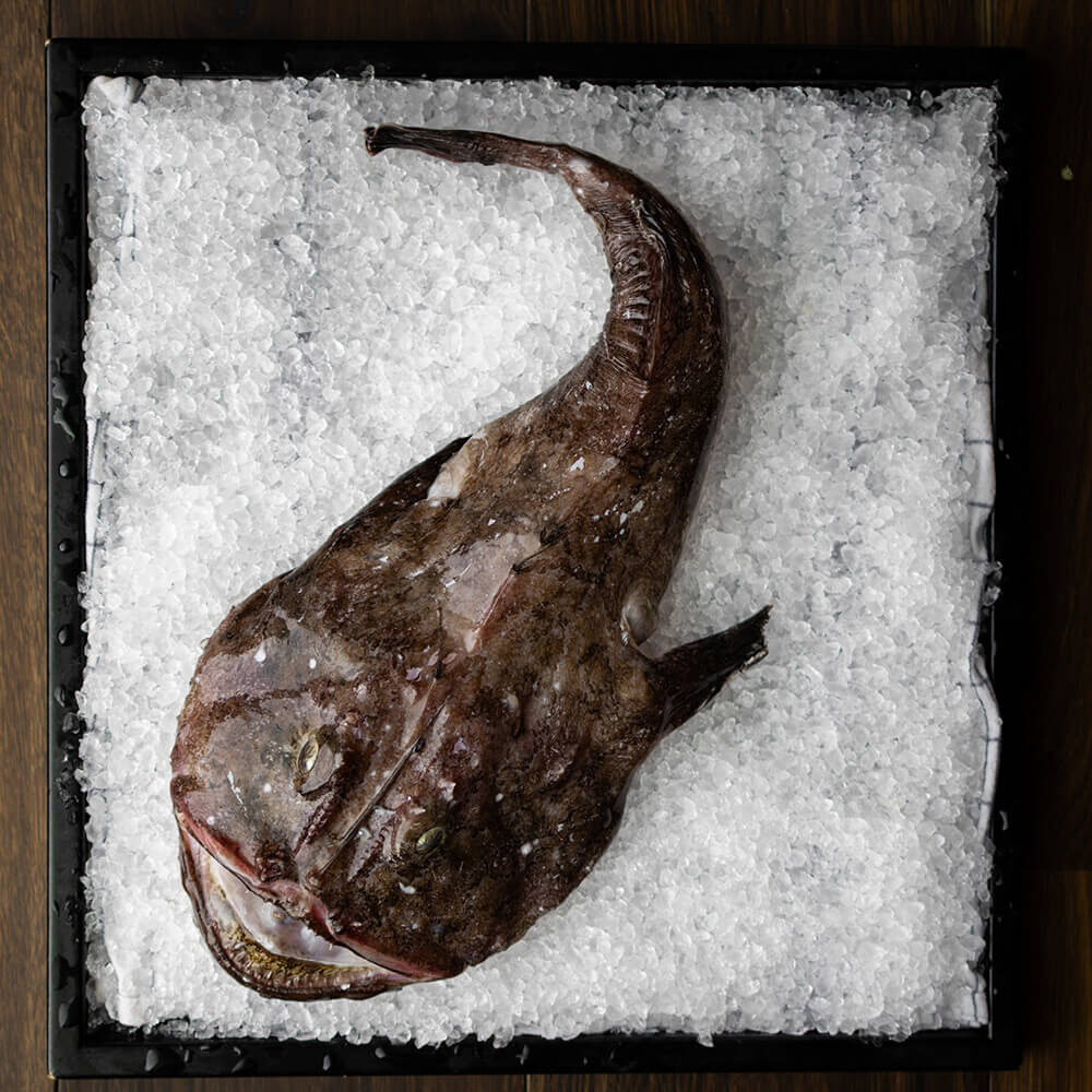 Fiskehallen Tvilling