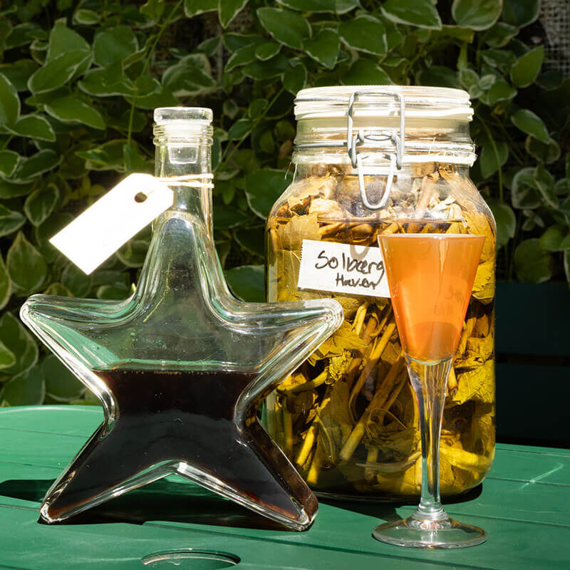 Frokost med snaps hos Kilden i haven