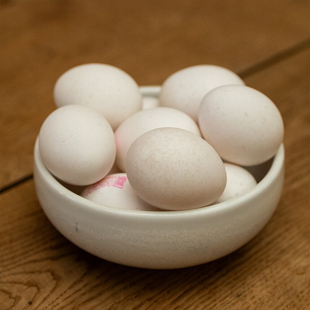 <p style="font-family: 'Lato', sans-serif; margin: 0; color: #000;">   <span style="font-style: italic; font-size: 16px; font-weight: 400;">LOCA Mål nr. 15</span><br>   <span style="font-weight: 700; font-size: 20px;">MADSPILD</span> </p>